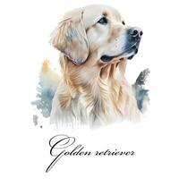 Watercolor illustration of a single dog breed golden retriever. Guide dog, a disability assistance dog. Watercolor animal collection of dogs. Dog portrait. Illustration of Pet. photo