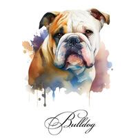 Watercolor illustration of a single dog breed bulldog. Guide dog, a disability assistance dog. Watercolor animal collection of dogs. Dog portrait. Illustration of Pet. photo
