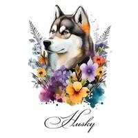 Watercolor illustration of a single dog breed husky with flowers. Guide dog, a disability assistance dog. Watercolor animal collection of dogs. Dog portrait. Illustration of Pet. photo