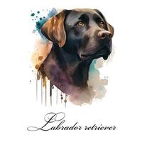 Watercolor illustration of a single dog breed black labrador retriever. Guide dog, a disability assistance dog. Watercolor animal collection of dogs. Dog portrait. Illustration of Pet. photo