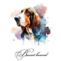 Watercolor illustration of a single dog breed basset hound. Guide dog, a disability assistance dog. Watercolor animal collection of dogs. Dog portrait. Illustration of Pet. photo