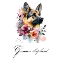 Watercolor illustration of a dog breed german shepherd with flowers. Guide dog, a disability assistance dog. Watercolor animal collection of dogs. Dog portrait. Illustration of Pet. photo