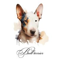 Watercolor illustration of a single dog breed bull terrier. Guide dog, a disability assistance dog. Watercolor animal collection of dogs. Dog portrait. Illustration of Pet. photo