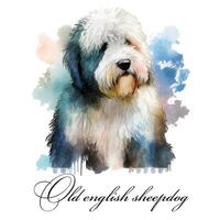 Watercolor illustration of a single dog breed old english sheepdog. Guide dog, a disability assistance dog. Watercolor animal collection of dogs. Dog portrait. Illustration of Pet. photo