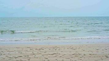 Summertime at the beach background. Nature with tropical sea and beach on white cloud and blue sky video