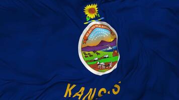 State of Kansas Flag Seamless Looping Background, Looped Bump Texture Cloth Waving Slow Motion, 3D Rendering video