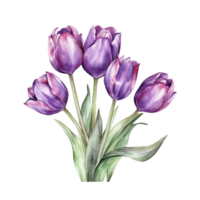 viola acquerello tulipani. illustrazione ai generativo png