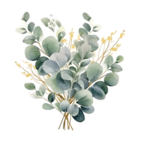 Watercolor green and golden eucalyptus leaves. Illustration png