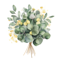 Watercolor green and golden eucalyptus leaves. Illustration png