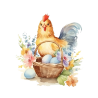 Watercolor chicken with eggs. Illustration png