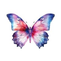 Watercolor butterfly. Illustration png