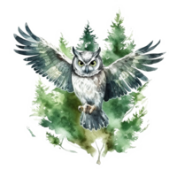 Green watercolor owl. Illustration png