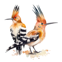 Two hoopoe birds. Illustration AI Generative png