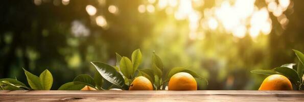 Wooden table place of free space for your decoration and orange trees with fruits in sun light. For montage product display or design key visual layout. Photomontage composition. photo