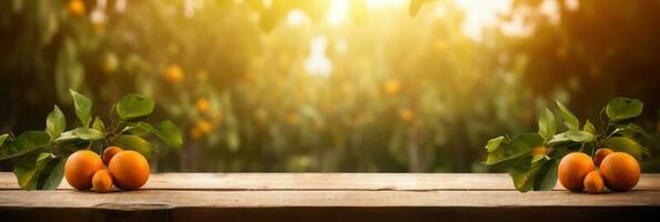 Wooden table place of free space for your decoration and orange trees with fruits in sun light. For montage product display or design key visual layout. Photomontage composition. photo