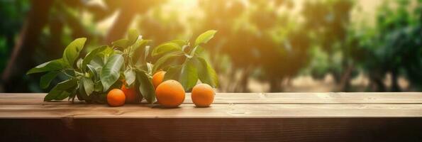 Wooden table place of free space for your decoration and orange trees with fruits in sun light. For montage product display or design key visual layout. Photomontage composition. photo