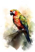 picture of parrot sitting on the branch photo