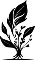 Flourish, Black and White Vector illustration