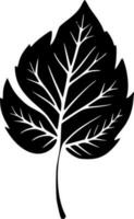 Leaf, Black and White Vector illustration