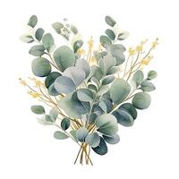 Watercolor green and golden eucalyptus leaves. Illustration photo