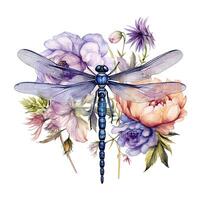 Watercolor dragonfly botanical illustration. Illustration photo