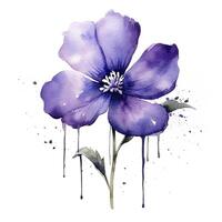 Violet watercolor flower. Illustration photo