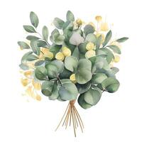 Watercolor green and golden eucalyptus leaves. Illustration photo