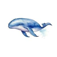 acuarela azul ballena ilustración ai generativo foto