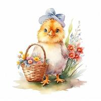 Watercolor chicken with eggs. Illustration photo