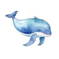 Watercolor Blue Whale Illustration photo