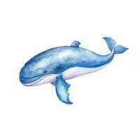 Watercolor Blue Whale Illustration photo