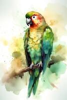 picture of parrot sitting on the branch photo