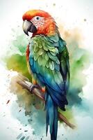 picture of parrot sitting on the branch photo