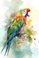 picture of parrot sitting on the branch photo