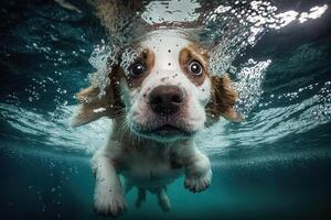 Puppy dog underwater. illustration photo