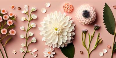 Flat lay concept of fresh field Spring flowers on Pink background isolated. Beautiful flowers decorative element set collection for wedding invitation or mother's day. . photo