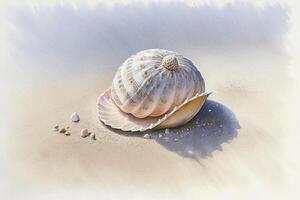 there is a shell on the sand with shells it. . photo