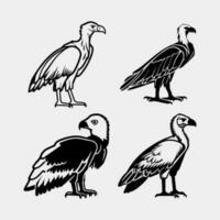 set of Black vultures on a white background. African animals. Vector illustration