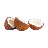 Set of coconut pieces isolated on transparent background png