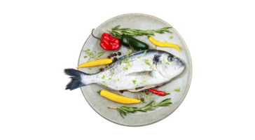 frisch Dorado Fisch mit Gemüse Scheiben auf transparent Hintergrund png