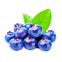 Juicy and fresh blueberries with green leaves on transparent background png