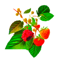 ai generativo morango fruta com folhas png