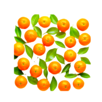 ai generativ orange frukt med löv png