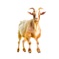 ai génératif vagabonder chèvre mouton png