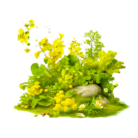 AI genrative canola flower illustration png