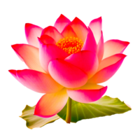 ai generativ lotus blomma png transparent