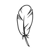 Feather sketch. Feather for decoration or writing. Vector illustration