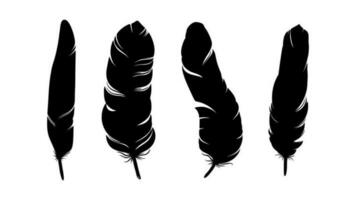 Bird feather silhouette. Decorative set of feathers isolated in white background. Vector illustration