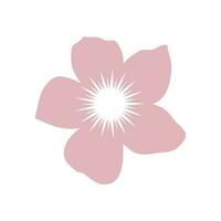 belleza plumeria icono flores diseño ilustración símbolo vector