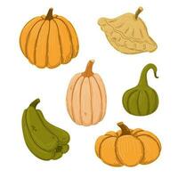 Autumn squashes and pumpkins. Hand drawn vector set.